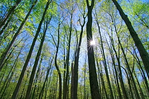 豆瓣9.6,零差评,这部洗眼神作太让人享受了