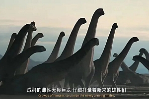 豆瓣9.5,零差评,这部良心巨作值得收藏