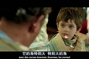 治愈系天花板,熬夜也要看这片!