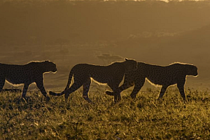 豆瓣9.4,零差评,他一出手就是惊艳之作