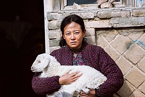 七年过去,这国产悬疑,也是必看top